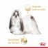 ROYAL CANIN® Adult Shih Tzu  Natvoer 12x85gr - Hondenvoer - 0,012 kg