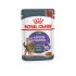 Royal Canin Appetite Control Care - Kattenvoer - 0,012 kg