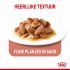 Royal Canin Appetite Control Care - Kattenvoer - 0,012 kg
