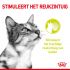 Royal Canin Sensory Smell - Kattenvoer - 0,012 kg