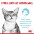 Royal Canin Sensory Multipack - Kattenvoer - 0,012 kg