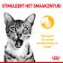 Royal Canin Sensory Multipack - Kattenvoer - 0,012 kg