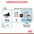 Royal Canin Urinary Care - Kattenvoer - 