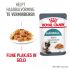 Royal Canin Hairball Care - Kattenvoer - 