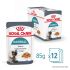 Royal Canin Hairball Care - Kattenvoer - 