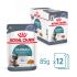 Royal Canin Hairball Care - Kattenvoer - 