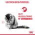 Royal Canin Hairball Care - Kattenvoer - 
