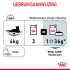 Royal Canin Hairball Care - Kattenvoer - 