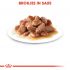 Royal Canin Digest Sensitive Pouch - Kattenvoer - 0,012 kg