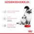 Royal Canin Mother & Babycat - Kattenvoer - 