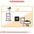 Royal Canin Intense Beauty Pouch - Kattenvoer - 0,012 kg