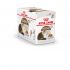 Royal Canin Ageing +12 Pouch - Kattenvoer - 0,012 kg