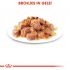 Royal Canin Ageing +12 Pouch - Kattenvoer - 0,012 kg