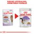 Royal Canin Sterilised Pouch - Kattenvoer - 0,012 kg