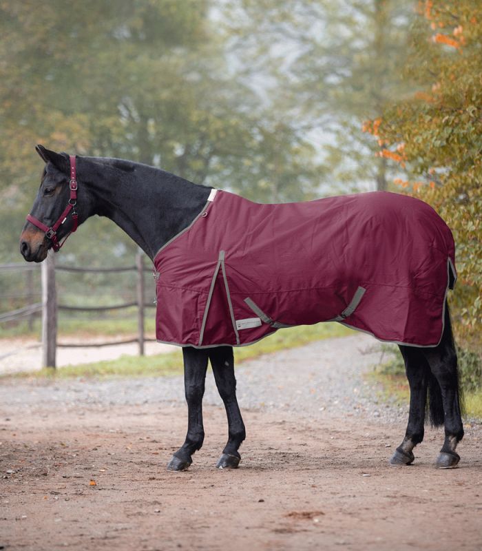 Waldhausen Economic - Regendeken - 195 cm - Rood