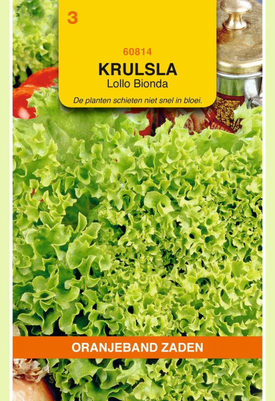 Oranjeband Krulsla Lollo Bionda Lactuca sativa - Sla - 85 gram
