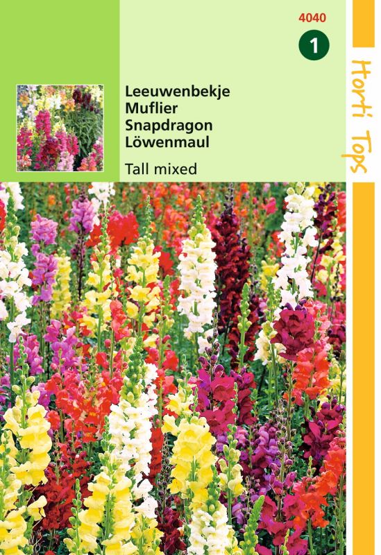 Hortitops Leeuwenbekje Antirrhinum majus - Bloemzaden - 0,5 gram