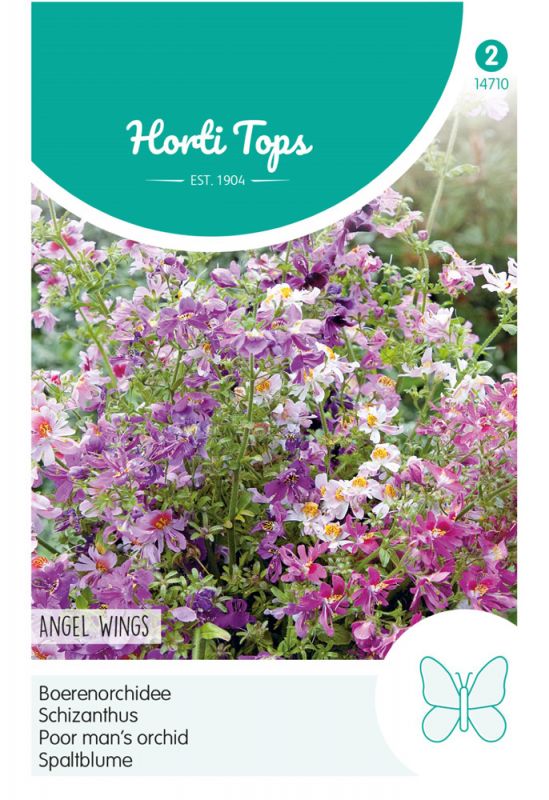 Hortitops Bloemzaden - Boerenorchidee (Schizanthus)