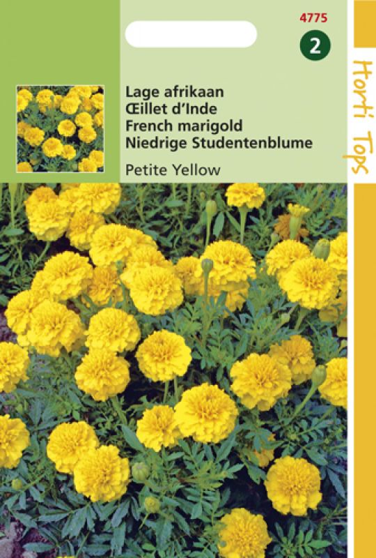 Hortitops Bloemzaden - Afrikaan (Tagetes)