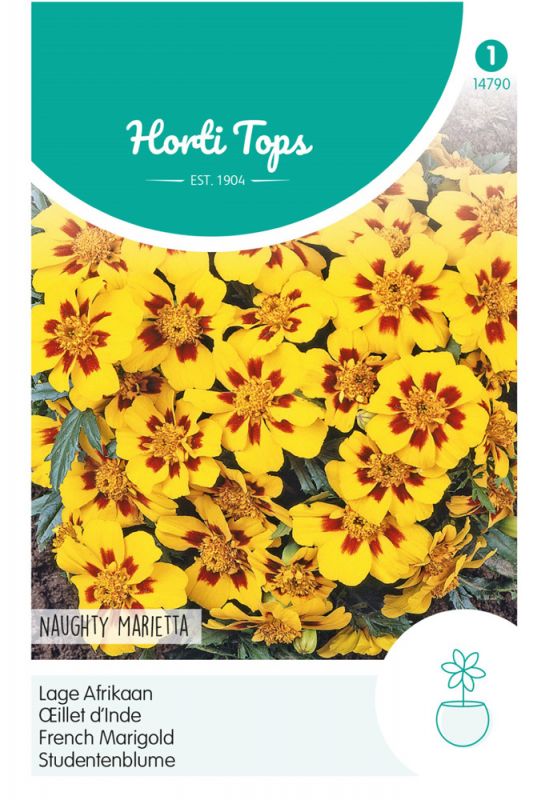 Hortitops Bloemzaden - Afrikaan (Tagetes)