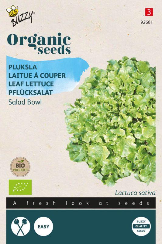 Buzzy Pluksla Lactuca sativa Green Salad Bowl - Sla - 1 g
