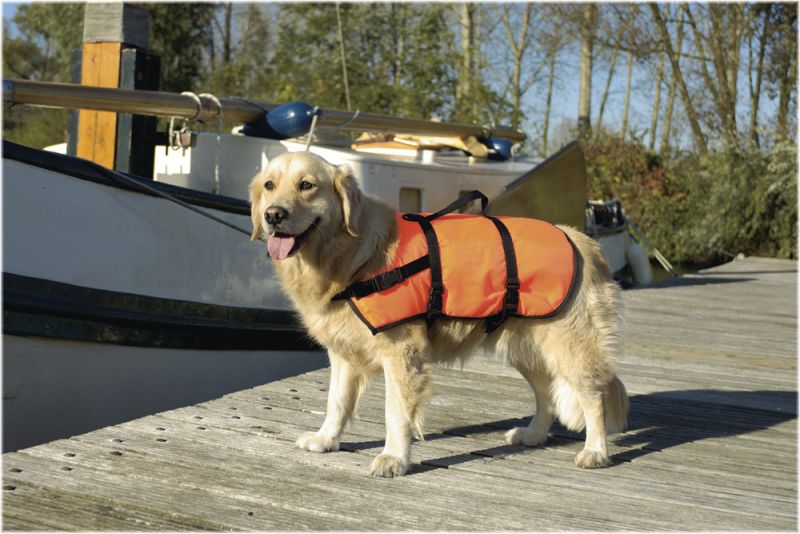 Beeztees Zwemvest - Veiligheidsvest - 55X48cm - Oranje - L