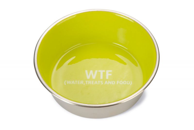 Beeztees WTF RVS - Voer en drinkbak - 20 cm - Groen