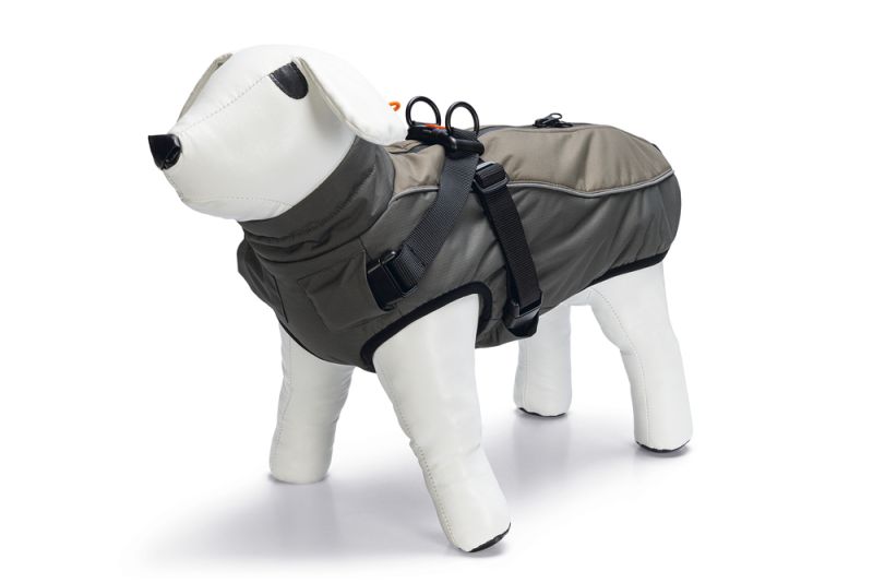 Beeztees Milo - Hondenjas - 28 cm - Grijs - Extra small