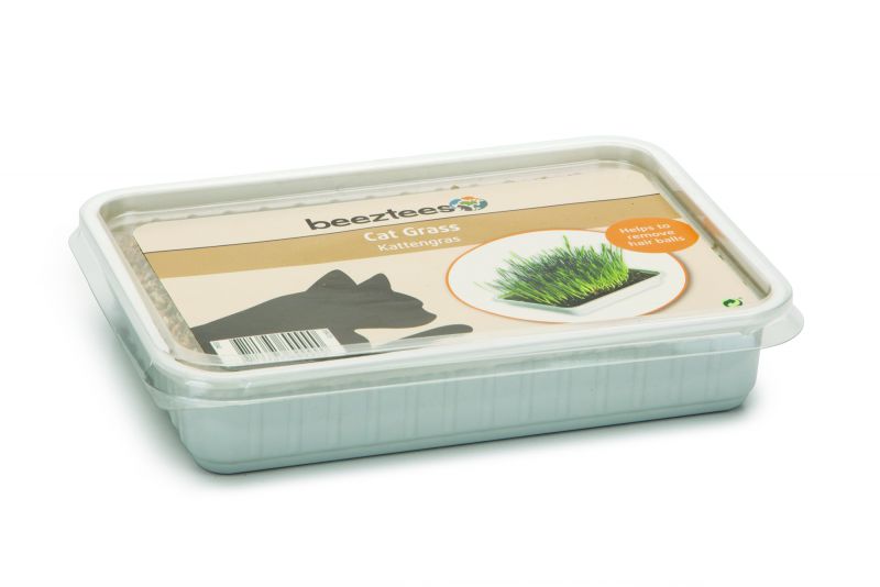 Beeztees kattengras plastic box - Kattensnacks - 130 gram