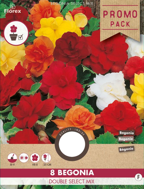Florex Begonia Grandiflora Dubbel - Bloembollen - Gemengd - 8 stuks
