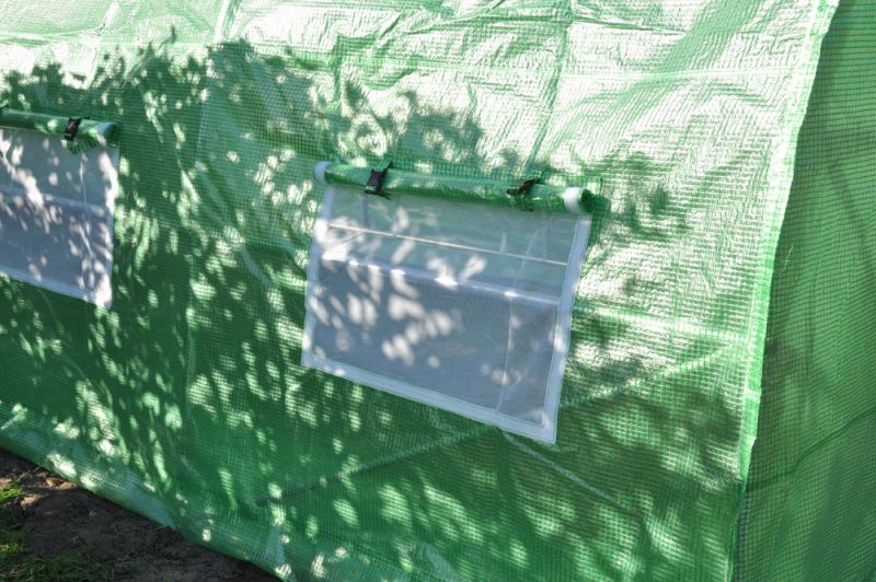 Royal Well Foliehoes - Groen