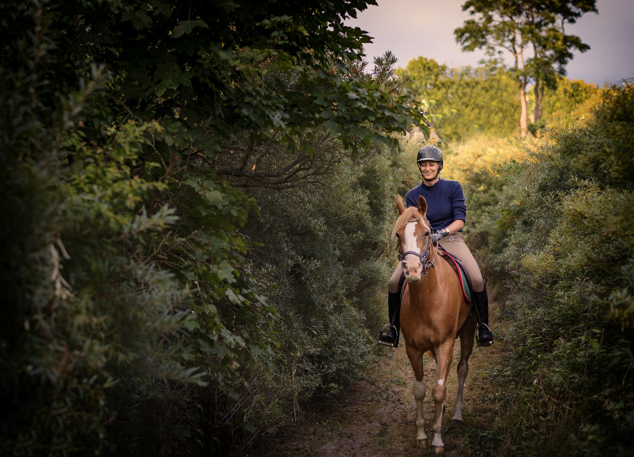 Alles over je paard