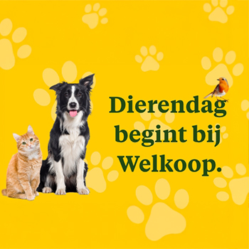 Actievoorwaarden Dierendag