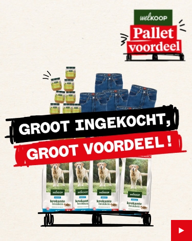 Geniet van de zomer met Welkoop