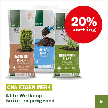 Verticuteermachines actie week 38