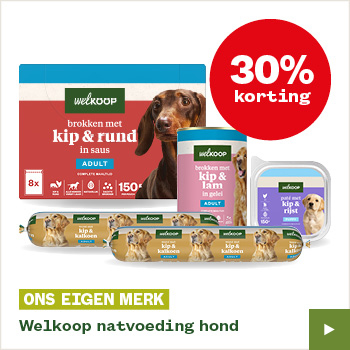 Welkoop natvoer voor honden actie week 38
