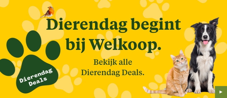 Dierendag overzichtspagina