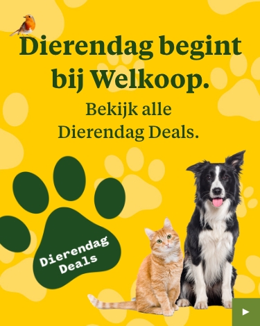 Dierendag overzichtspagina