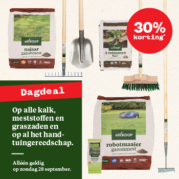 Zomerdeals mobiel