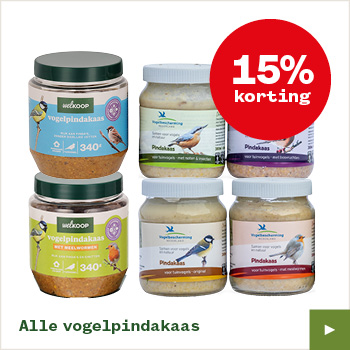 Welkoop vogelpindakaas