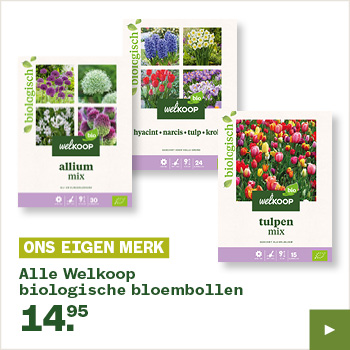 Welkoop bloembollen