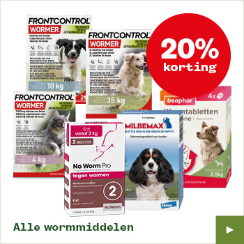 Ontwormen hond - Welkoop