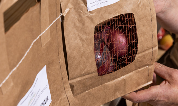 Uien bij Welkoop - BoerNLekker