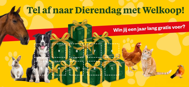 Dierendag aftellen mobiel