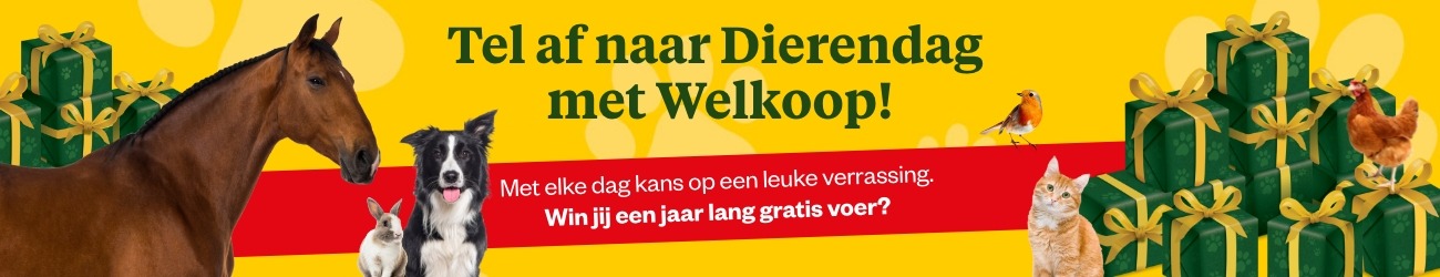 Dierendag aftellen