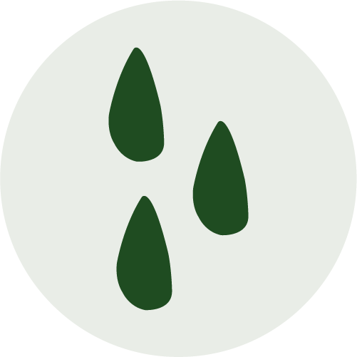 Water geven kamerplanten