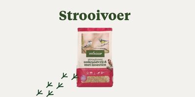 Vogelvoer