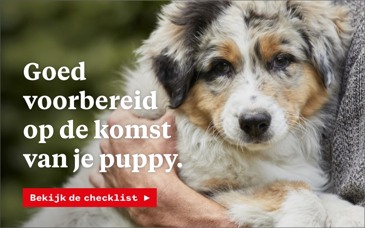 Goed voorbereid op de komst van je puppy