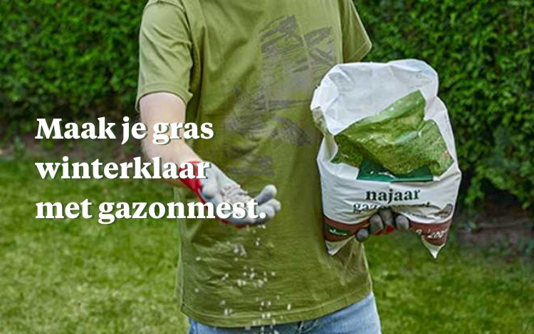 Maak je gras winterklaar met gazonmest