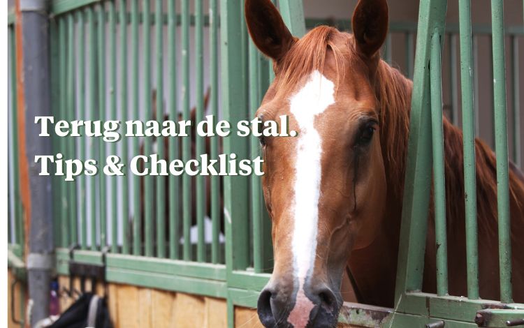 Paard terug naar de stal - Tips & Checklist